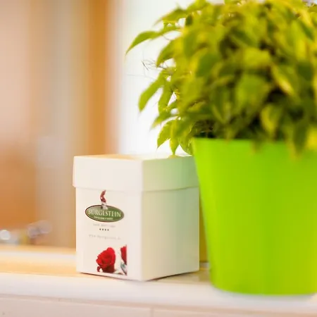 Hotel Burglstein Sankt Wolfgang im Salzkammergut