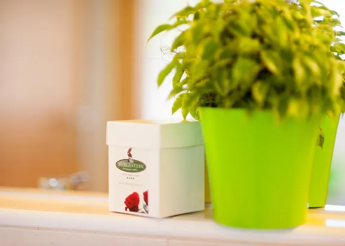 Hotel Buerglstein Saint Wolfgang